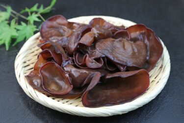 共済会員限定！メディアでも話題の「防空壕きくらげ」見学会【無料・試食あり・おみやげ付き】