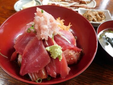 「みさきまぐろきっぷ」で三浦・三崎へ！絶品まぐろ料理が味わえるチケットをご紹介【会員限定550円OFF】